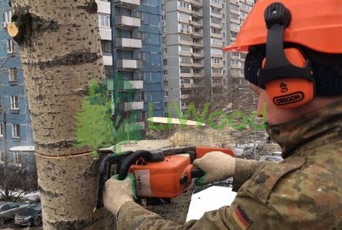 +79169627171 звонок из LiWood -обслуживание зеленых насаждений