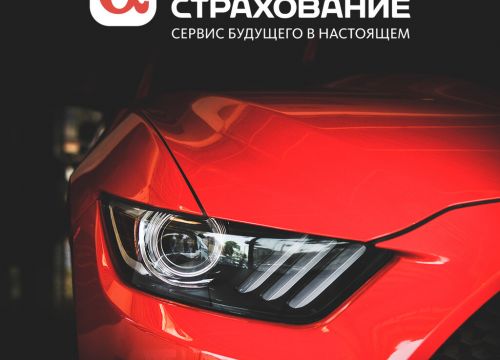 +79169690330 звонок из АльфаСтрахование