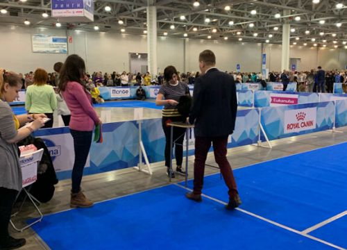 +79169733236 звонок из Догсфилософи