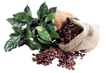 +79169790107 звонок из Интеза РКМ