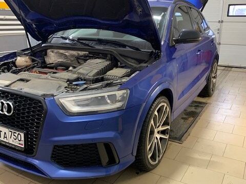 +79170210017 звонок из Фаворит