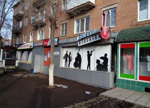 +79172155025 звонок из Музыкальный магазин M. Blues