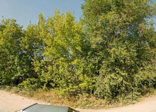 +79173235664 звонок из Электро Ресурс