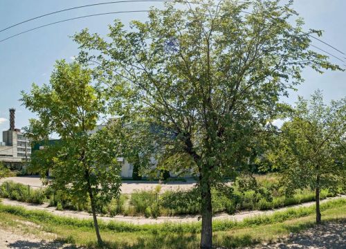 +79173241002 звонок из Траксити