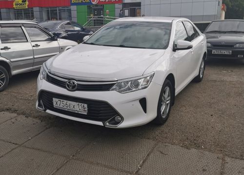 +79173950800 звонок из ЦентрАвтоПрокат