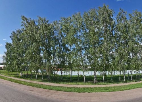 +79174282111 звонок из Магазин автозапчастей Экспресс-Auto