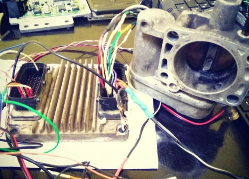 +79174322259 звонок из Мастер-пин