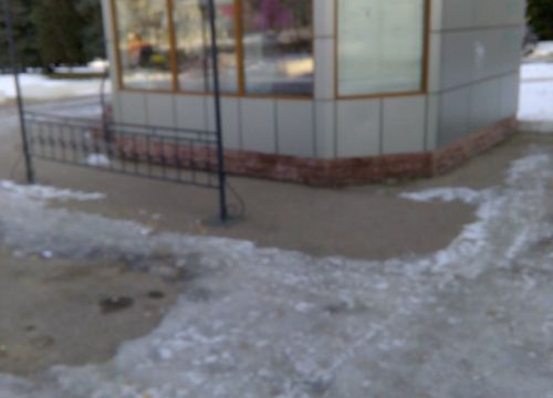 +79174522974 звонок из Цветы