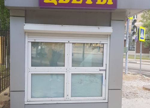 +79175651496 звонок из Цветы