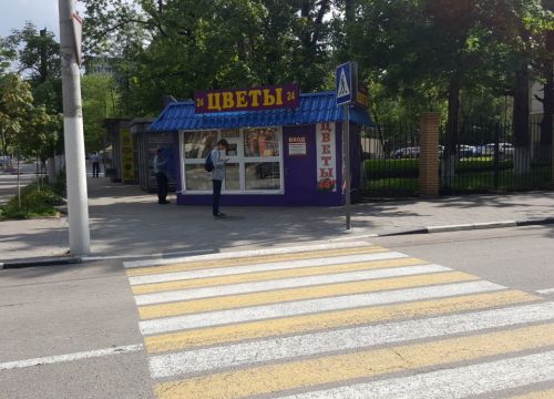 +79175651496 звонок из Цветы