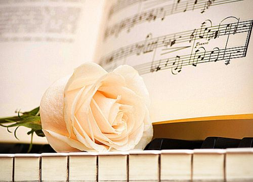 +79175681439 звонок из Никулинский сельский Дом культуры