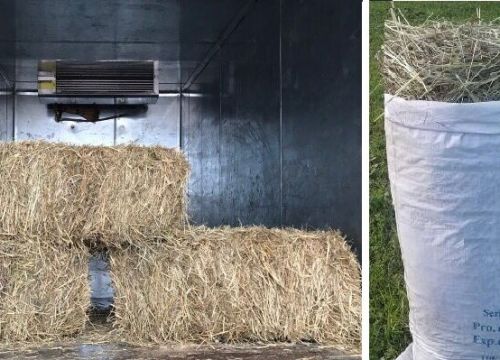 +79175840064 звонок из Удачный Урожай