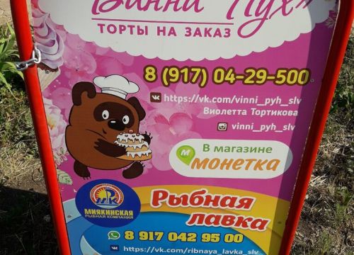 +79178020573 звонок из Винни-Пух