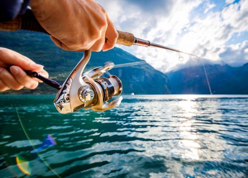 +79179024060 звонок из Рыболов НК