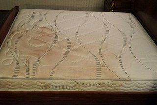 +79179040102 звонок из Нур Клининг