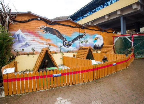 +79180101773 звонок из Совариум