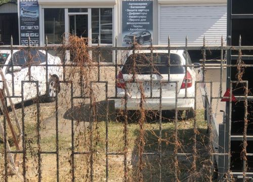 +79180141818 звонок из Мир фаркопов