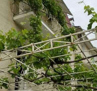 +79180412164 звонок из Друзья Анапы