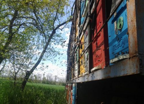 +79181611713 звонок из Пеноулик