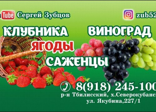 +79182451000 звонок из ЛПХ Зубцов