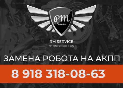 +79183180863 звонок из RM-service