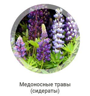 +79183182651 звонок из Тихорецкая семеноводческая станция