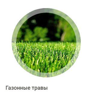 +79183182651 звонок из Тихорецкая семеноводческая станция