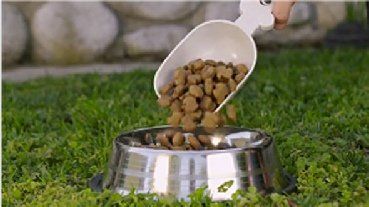 +79183370371 звонок из Евровит