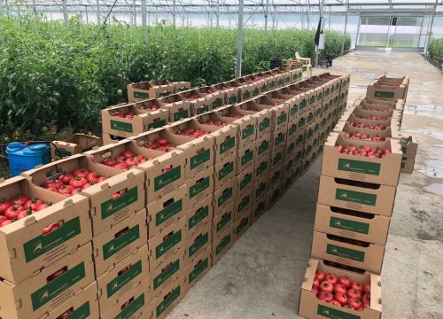 +79183715765 звонок из Европрогресс-Алания
