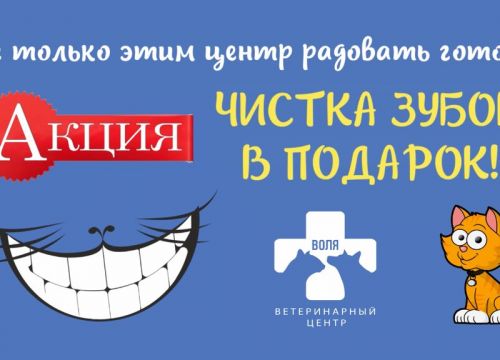 +79184200595 звонок из Ветеринарная клиника