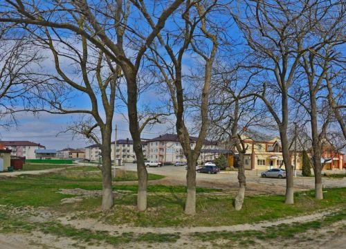 +79184330761 звонок из Пузырь