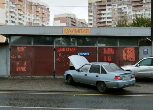 +79184361504 звонок из Олимпия