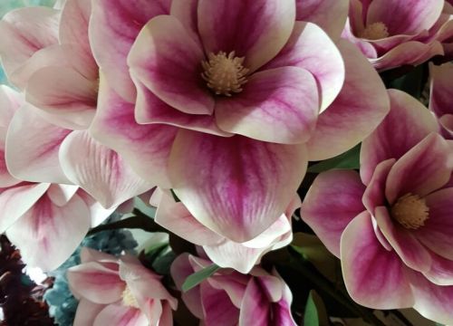 +79185563622 звонок из Космея