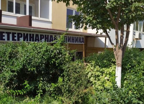 +79189543028 звонок из Ветеринарная клиника ВетСи