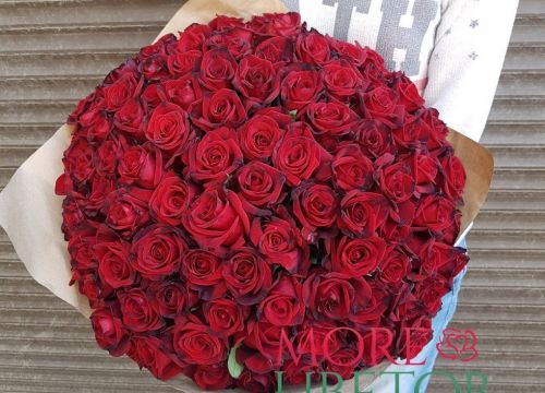 +79189672651 звонок из Море Цветов