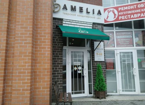 +79190561222 звонок из Amelia