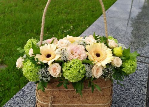 +79191071269 звонок из Зайка