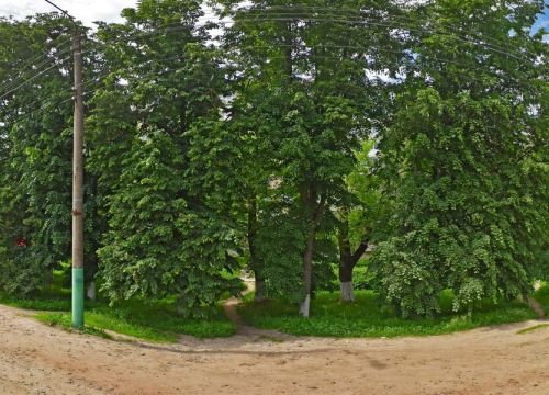 +79192001002 звонок из 32 Дента