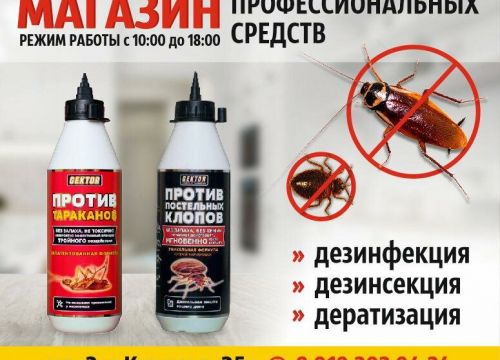 +79192613440 звонок из Дезинфектор57