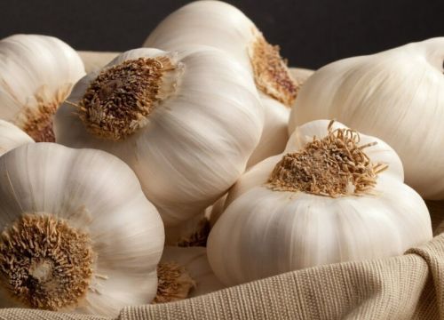 +79192850911 звонок из ИП Гкфх Плешков Дмитрий Николаевич