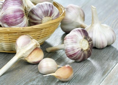 +79192850911 звонок из ИП Гкфх Плешков Дмитрий Николаевич