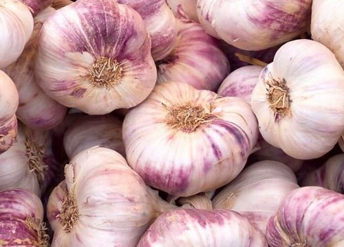 +79192850911 звонок из ИП Гкфх Плешков Дмитрий Николаевич