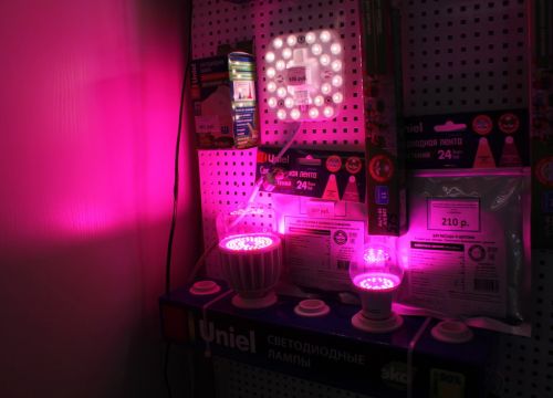 +79193323500 звонок из Лед74