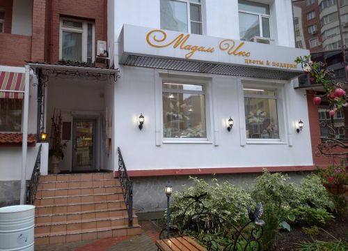 +79193923358 звонок из Мадам Икс