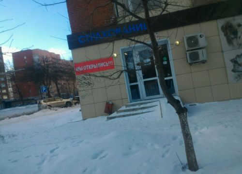 +79196051922 звонок из Арена