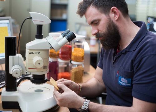 +79196254448 звонок из Миранд