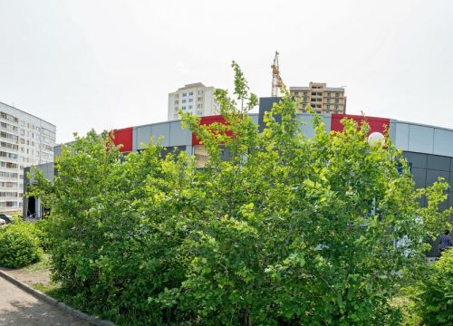 +79196333166 звонок из Oriflame