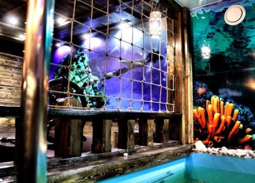 +79196654955 звонок из Пандора