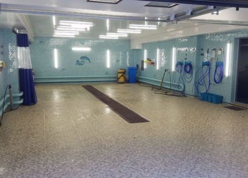 +79197780265 звонок из Автомойка и Шиномонтаж
