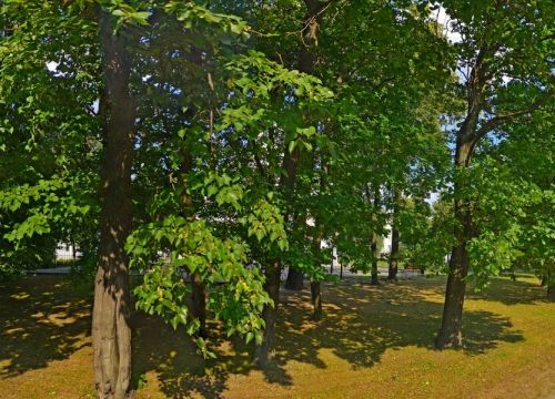 +79198236125 звонок из Школа церковного пения и чтения